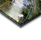 Breathing Forest - North Cascades National Park Acrylic print