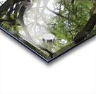 Hopeland Gardens Aiken SC Acrylic print