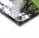 Masters Crowd 2 Acrylic print