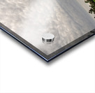 Masters Practice Acrylic print