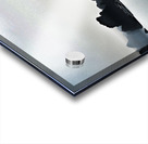 Viet 4 Acrylic print