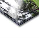 Masters Crowd Acrylic print