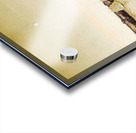 Full moon marina Acrylic print