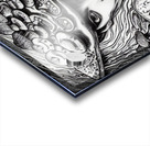 princess sofia Acrylic print