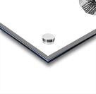 Inktober2022 Armadillo Acrylic print