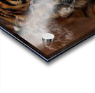 Tiger Smoke Acrylic print
