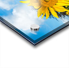 Windmill Garden Acrylic print