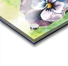 Pansies Acrylic print