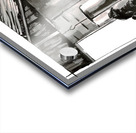 No Fox in the Hen House Acrylic print