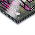 BIG DREAMS Acrylic print