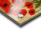 Orange Poppies  Acrylic print