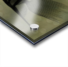 Raphael  Acrylic print