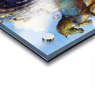 Piazza San Marco Venice Italy Acrylic print