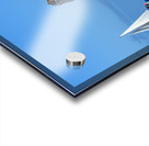 Kicker Rock Acrylic print