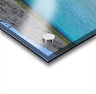 Sante Fe Sealions Acrylic print