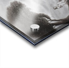 Autumnal Dream Acrylic print