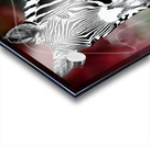 Thats Z Spirit 3  Acrylic print