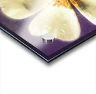 Jewel [ Winter Dream ] Acrylic print