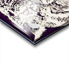 Vintage Kansas State Wildcat Art Acrylic print