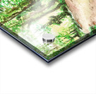 Haig Mill Park Trail Acrylic print