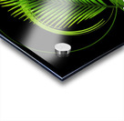 That is Freedom Acrylic print