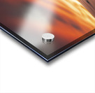 DJ 07825 1 Print Acrylic print