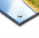 Footpath at the Baltic Sea Acrylic print