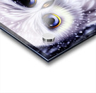 Kawaii Fluffy White Owl Acrylic print