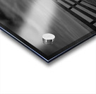 DJ 07096 LRG BW Acrylic print