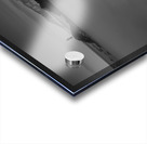 DJ 07137 LRG BW Acrylic print