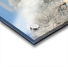 hoar frost on trees Acrylic print