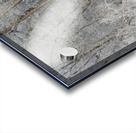 hoar frost  Acrylic print