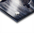 Canada Goose  Acrylic print