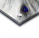 Survival of the Fittest Acrylic print