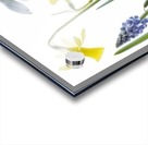 Spring Acrylic print