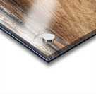 The Beach Acrylic print