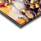 Chocolate Temptations Acrylic print