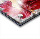 Tucker Acrylic print