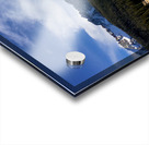 Lizard head pass Acrylic print