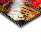 Tiger tail and Nectar Acrylic print