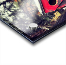 Little red house in the trees Acrylic print