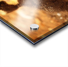 Uno the quick  Acrylic print