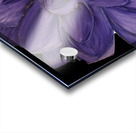 Purple petals Acrylic print