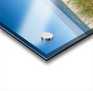 Ocean and Dunes Acrylic print