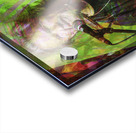 Kris Kristofferson Acrylic print