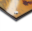 California American Vacation Land Acrylic print