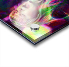 Stevie Nicks Acrylic print