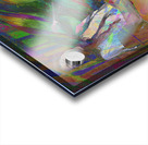 Nanci Griffith Acrylic print