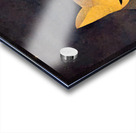 Cat in front of a Bonfire Acrylic print