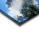 Grand Teton Mountain with views Acrylic print